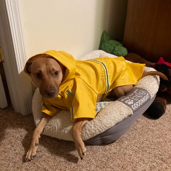 Meet your Posher, Stephanie - Picture 5 of 17